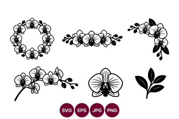 Orchid Line Art Collection Graphics