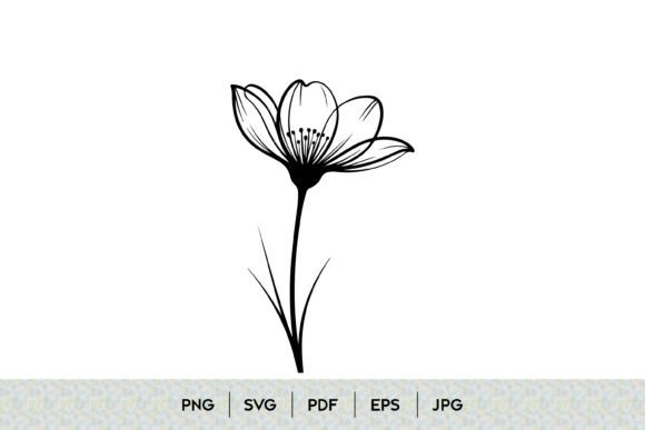 Single Flower Line Art Design: Clean Graphics & Illustrations