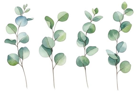 Watercolor Eucalyptus Leaves Graphics for Local Branding