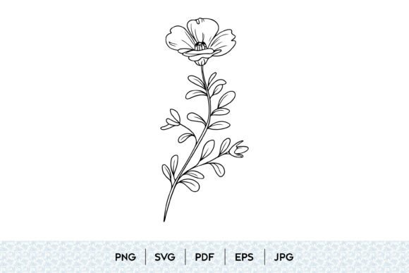 Wildflower Botanical Line Art Graphics for Editorial Design